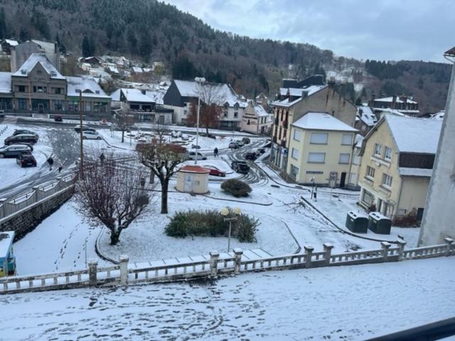 Ideal Montagne Apartment Le Mont-Dore